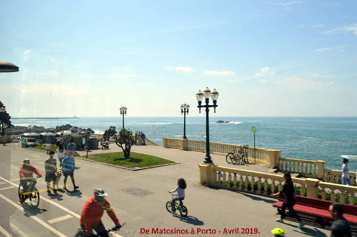 0771 - De Matosinhos a Porto.JPG